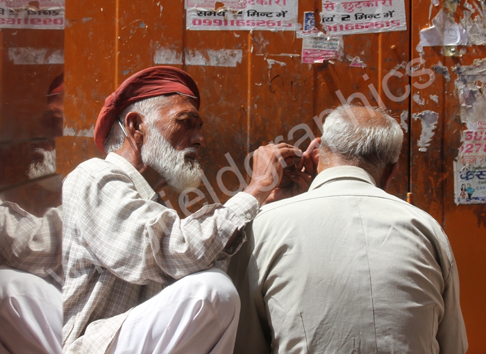 wingfield people india