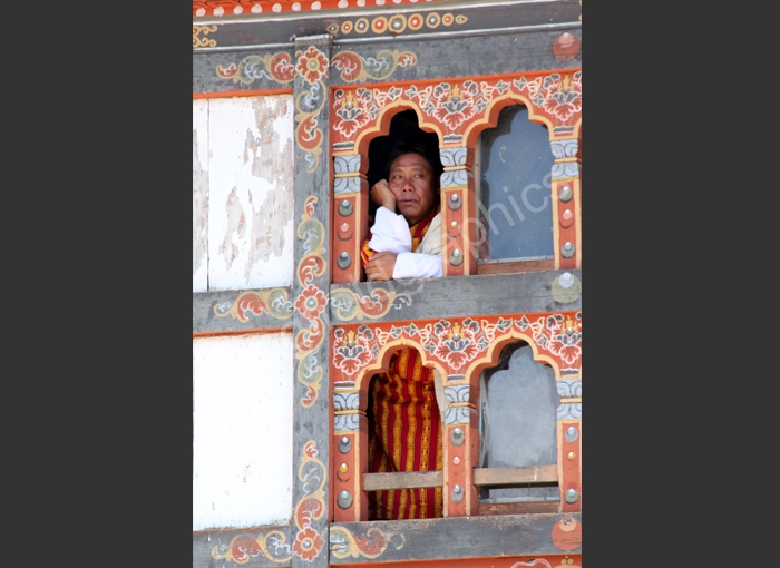 wingfield festival mongolia