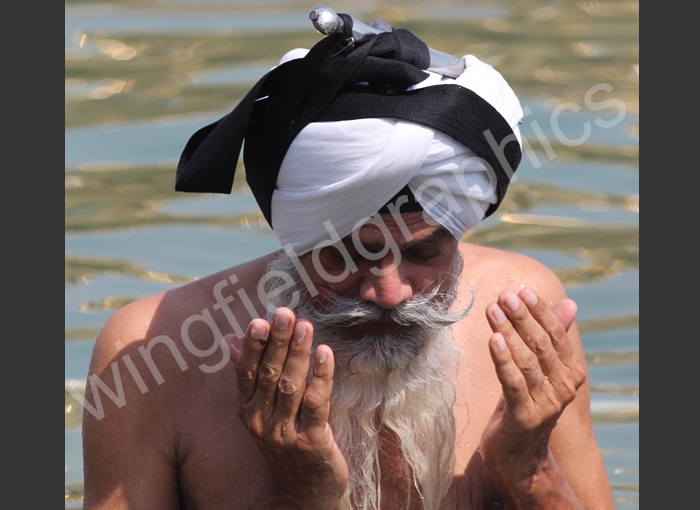 wingfield man india