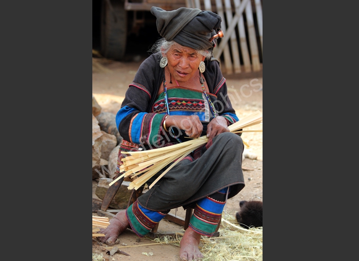 wingfield indigenous china