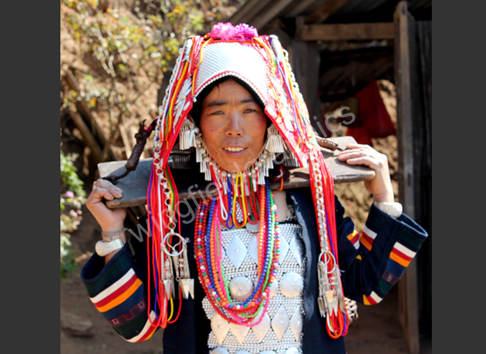 wingfield indigenous china