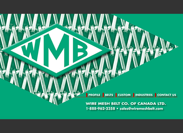 wire mesh belt